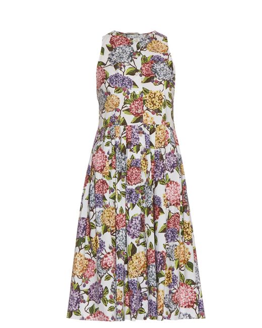 Emilia wickstead Olive Hydrangeaprint Dress in White BLUE PRINT 