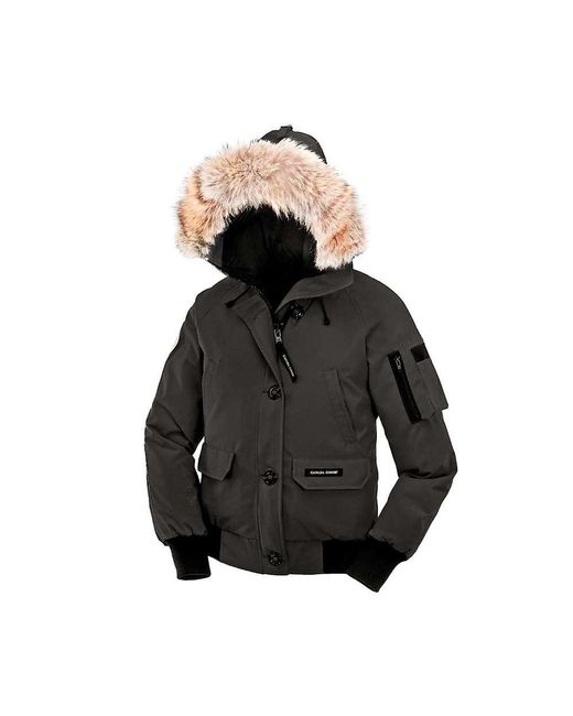 canada goose Bombers Limestone canada goose Bombers Limestone