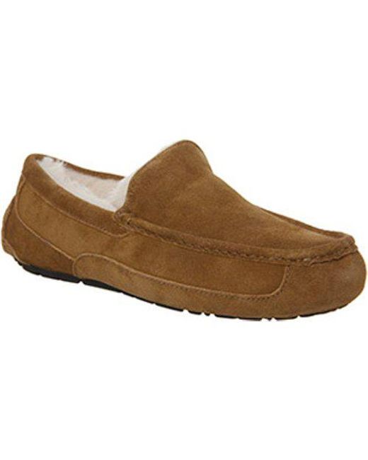 Lyst Ugg Ascot Slipper In Brown For Men Ugg Men S Brown Ascot Slipper