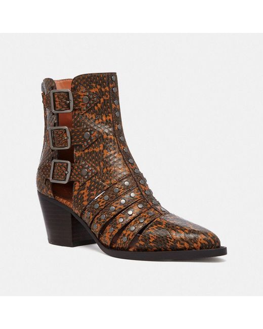 coach phoebe bootie