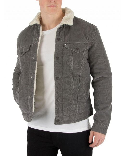 Lyst - Levi'S Pewter Cord Type 3 Sherpa Trucker Jacket in Gray for Men - Save 10.416666666666671%
