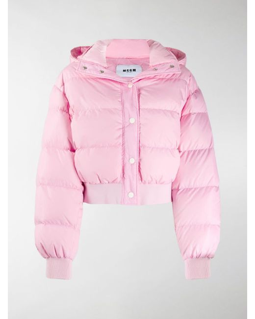 MSGM Cropped Puffer Jacket in Pink - Lyst