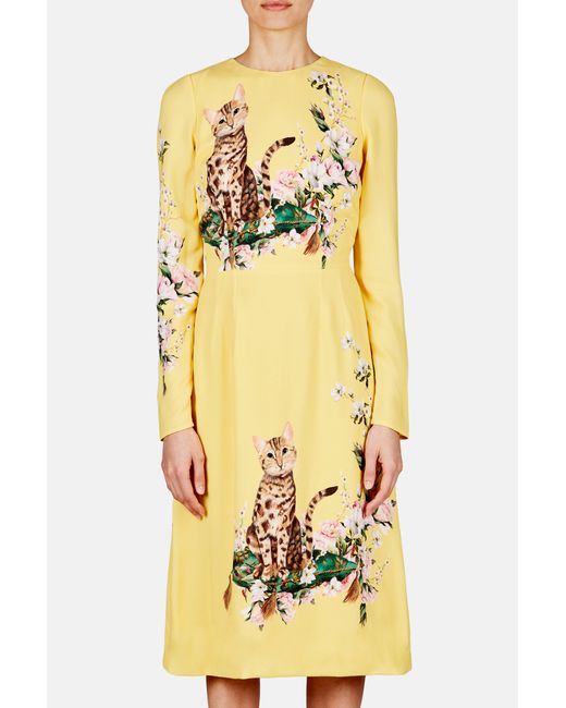 yellow dolce and gabbana dress