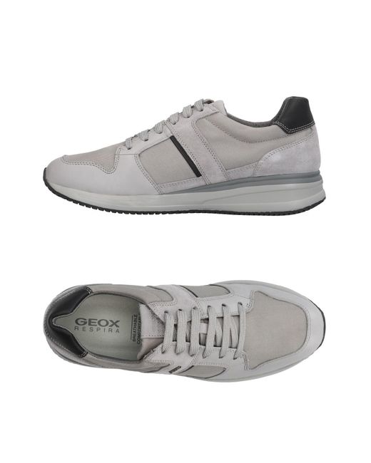 Lyst - Geox Low-tops & Sneakers in Gray for Men