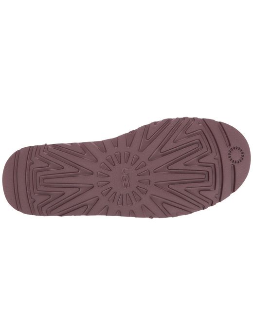 cordovan ugg neumel