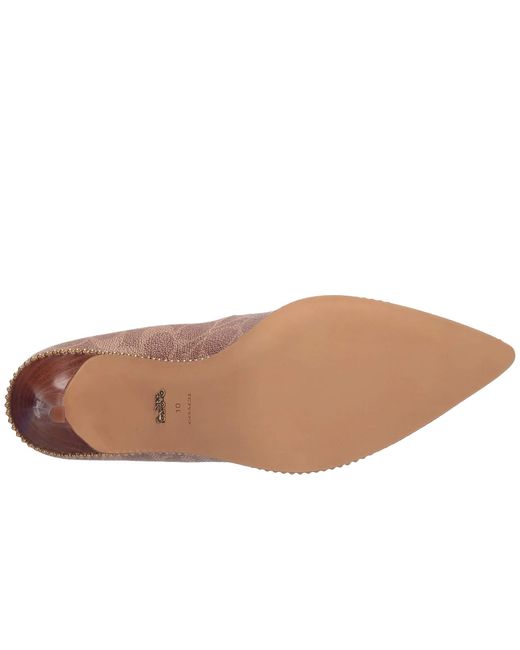coach waverly pump tan