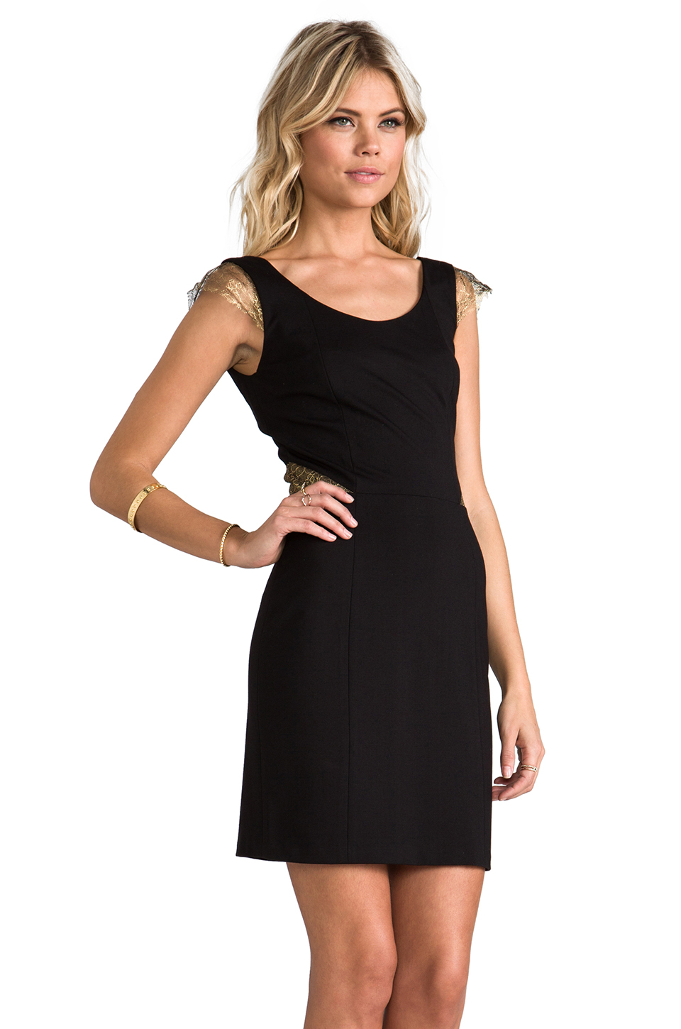 Lyst - Erin Erin Fetherston Gillian Dress in Black in Black