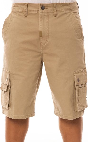 Lrg The Leaves Roots Grow Classic Cargo Shorts in Khaki for Men ...