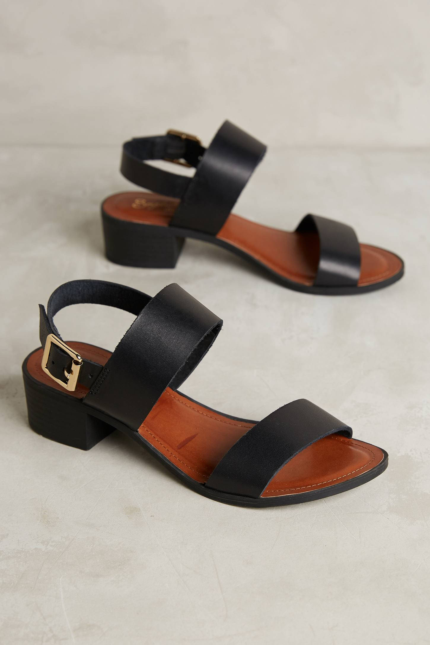 Lyst - Seychelles Cassiopeia Sandals in Black