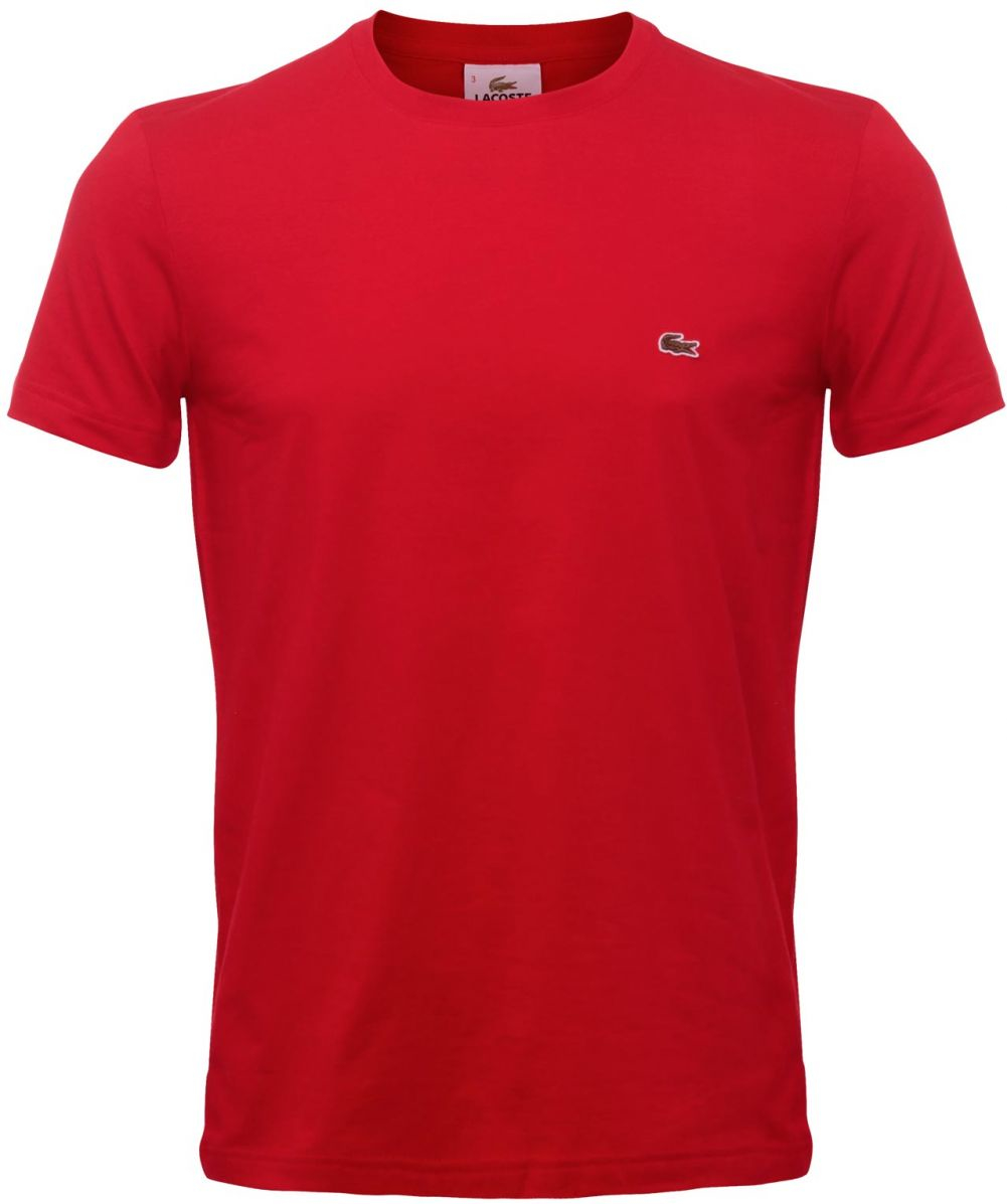 lacoste t shirt man