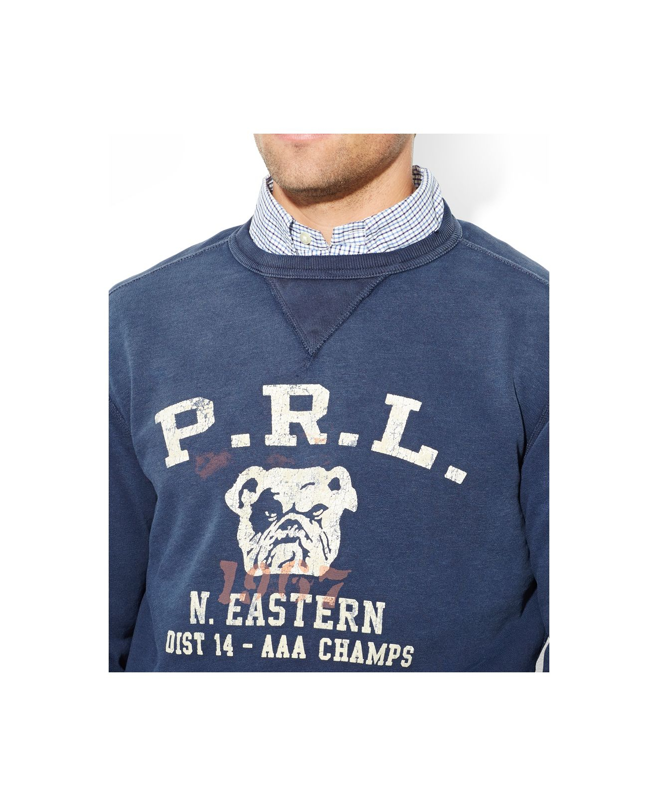 polo ralph lauren bulldog sweatshirt