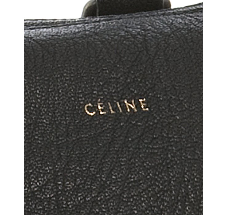 celine leather bag and strap  