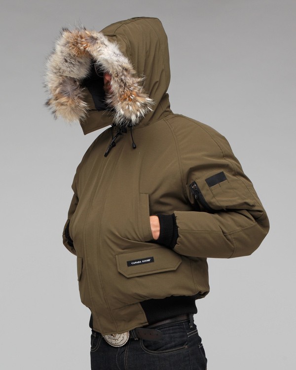 canada goose brown chilliwack canada goose brown chilliwack
