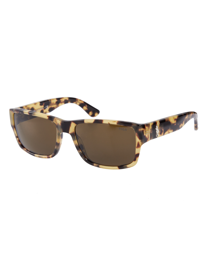 Polo Ralph Lauren Wayfarer Sunglasses in Brown for Men (tortoiseshell ...