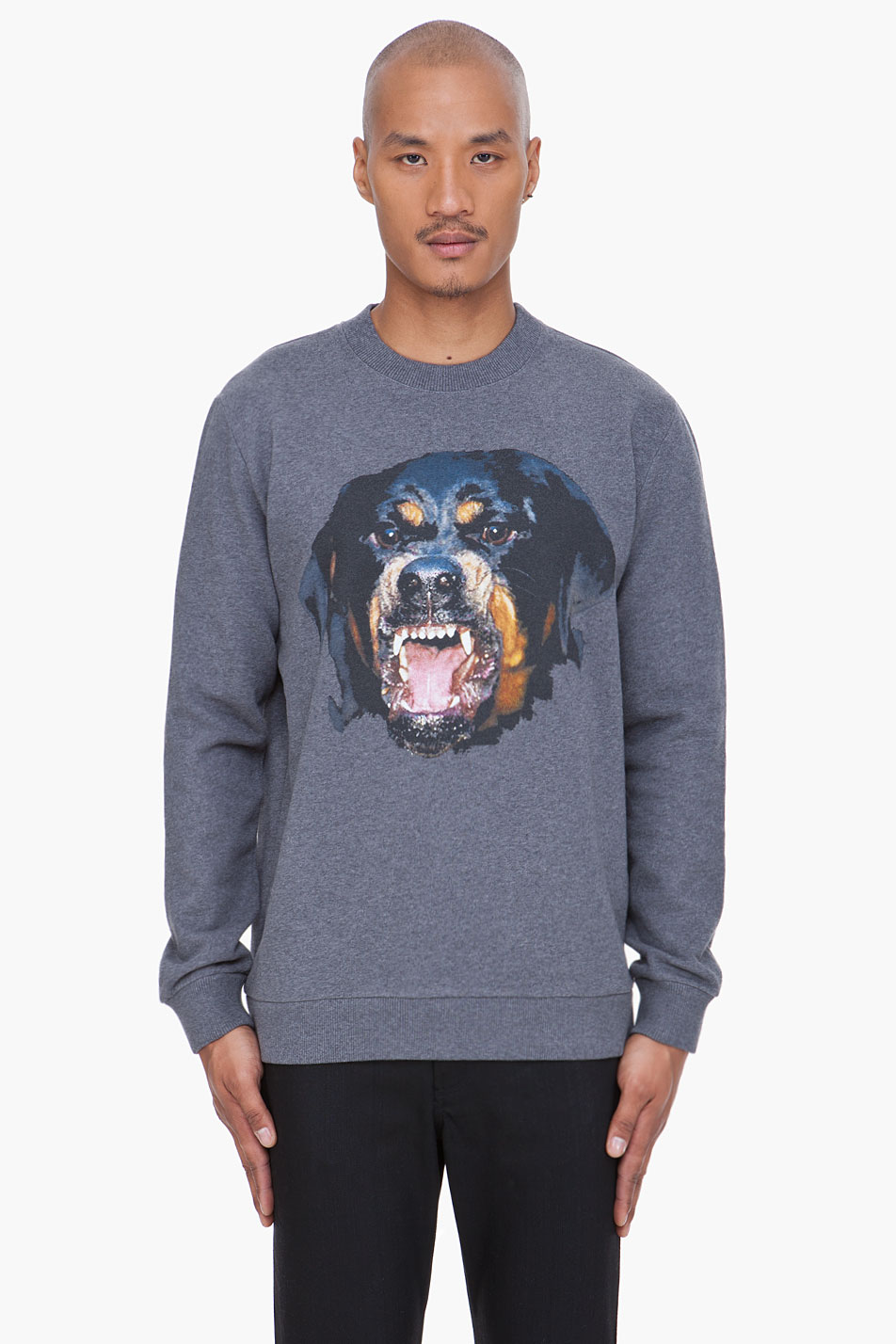 Givenchy Rottweiler Print Sweater in Gray for Men | Lyst