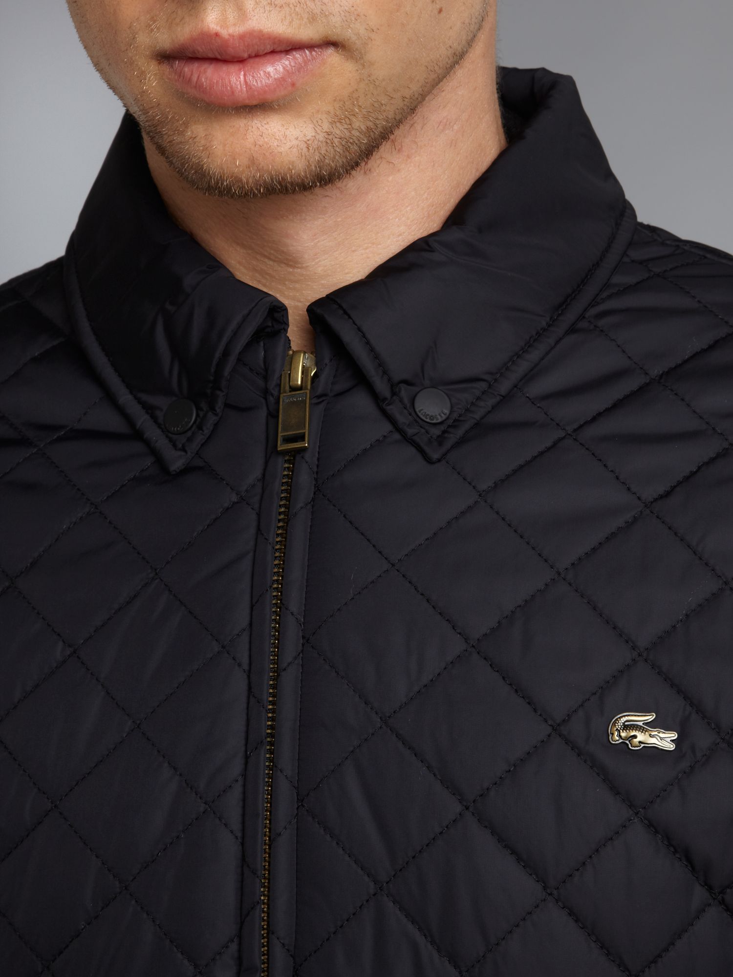 lacoste long padded jacket