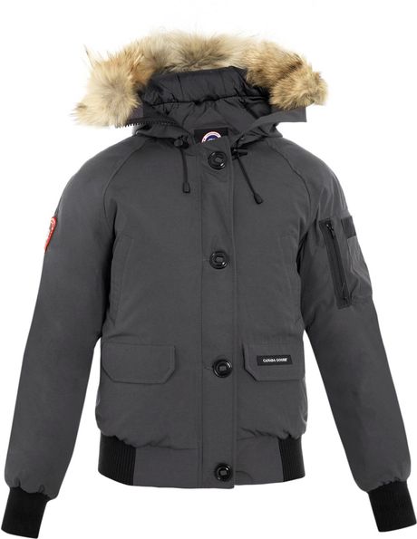 Canada Goose Chilliwack Bomber Jacket in Gray (grey) | Lyst