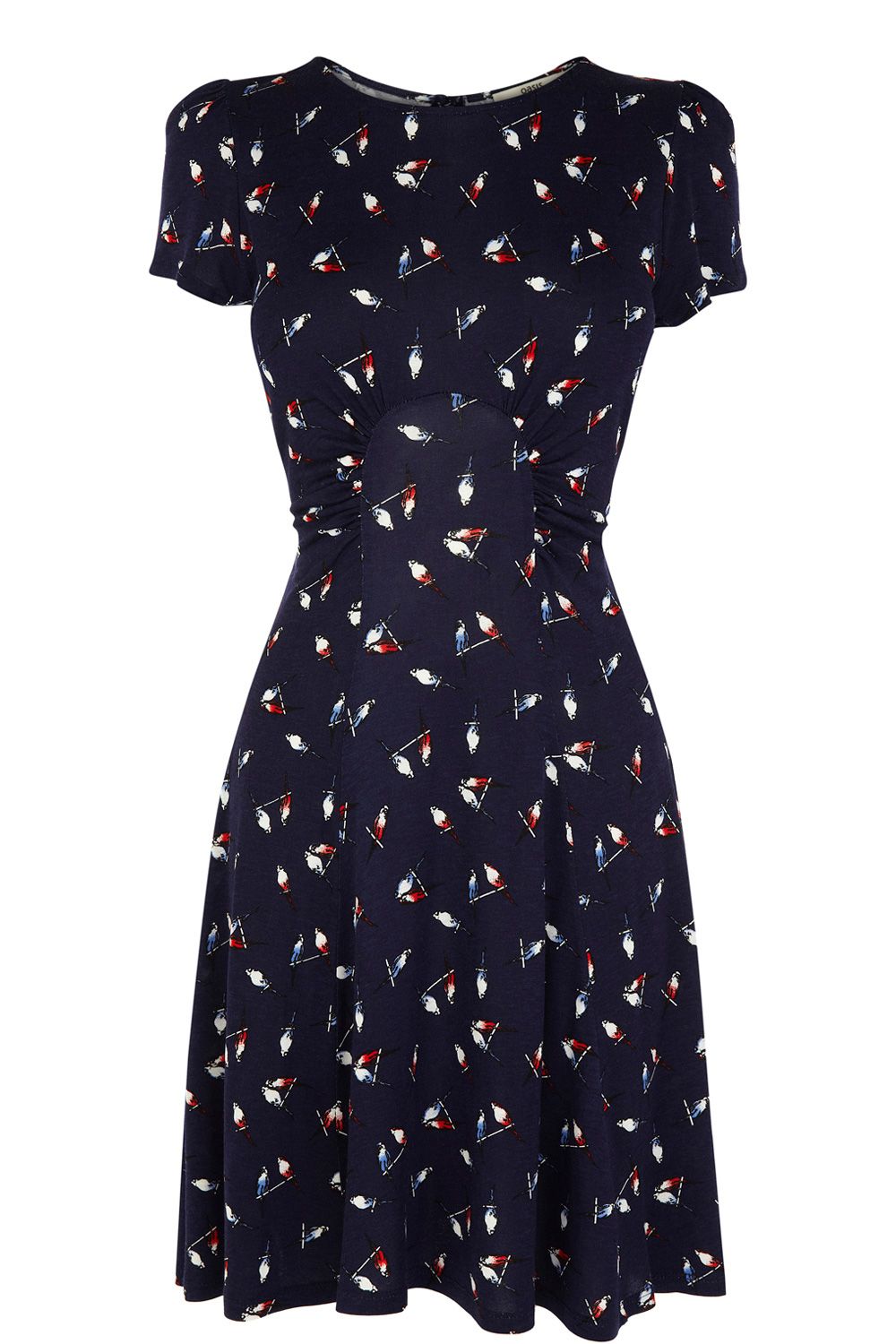 Oasis Budgie Print Dress in Blue | Lyst