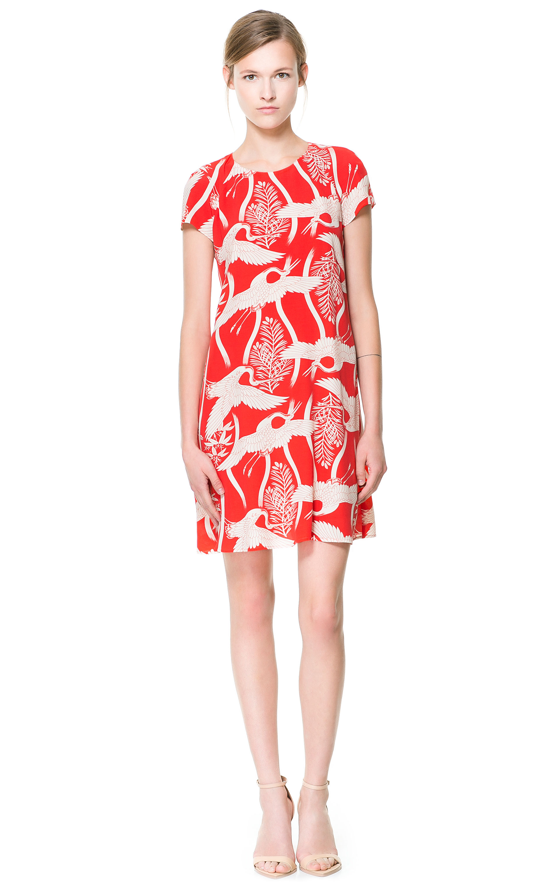 red and white dress zara