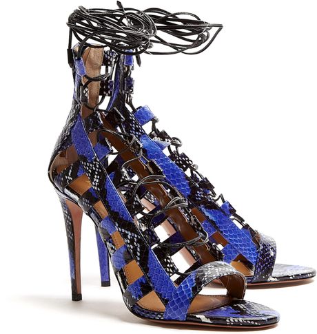 Aquazzura Amazon Electric Blue Snake Strappy Lace Up Sandals in Blue | Lyst