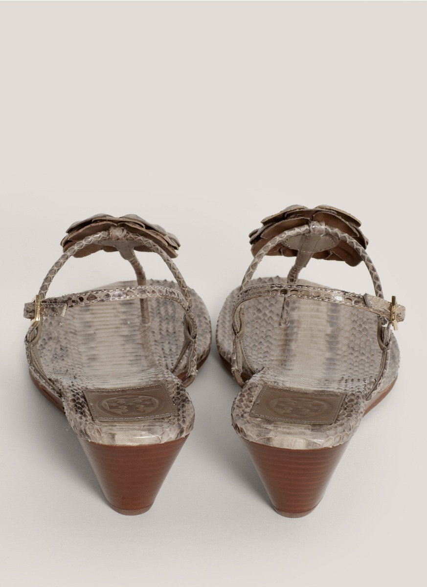 tory burch sandals snake skin