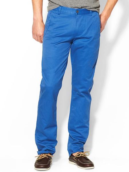 royal blue khaki pants