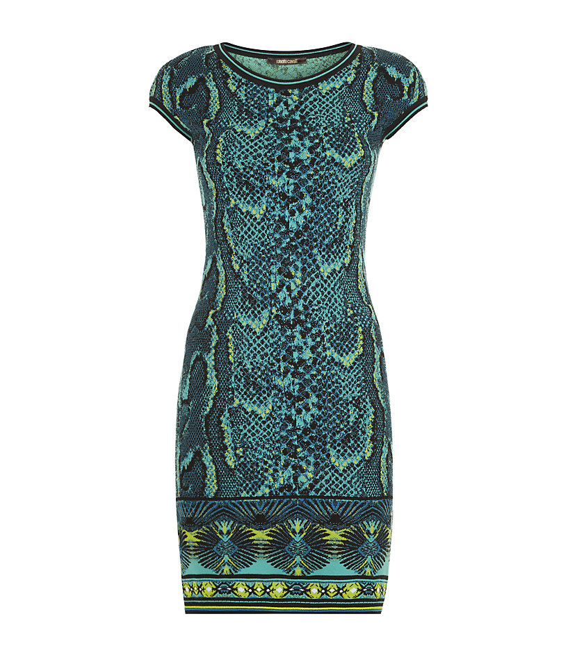 Roberto Cavalli Snakeskin Print Knitted Dress in Green | Lyst