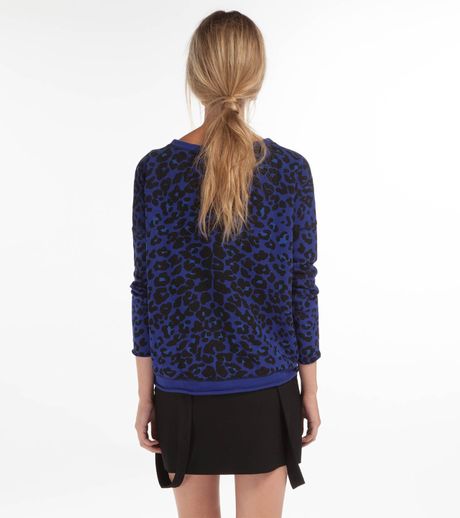 Maje Daleo Leopard Sweatshirt in Blue (leopard) | Lyst