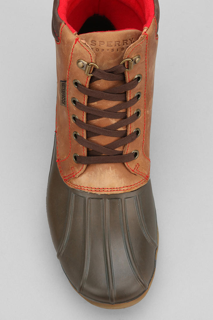 sperry topsider boot