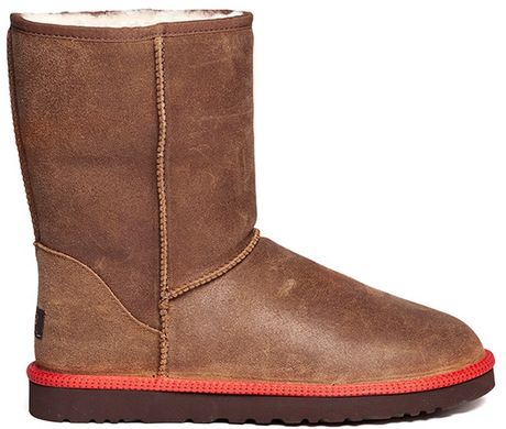 uggs polson chestnut uggs polson chestnut