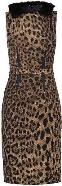 Class Roberto Cavalli Fur Collar Leopard Print Dress in Animal (leopard ...