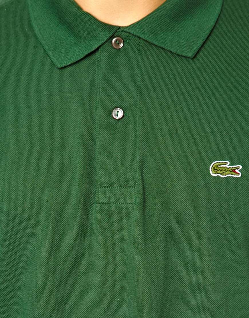 alligator logo polo off 66% - online-sms.in