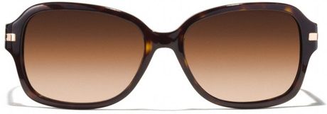 Coach Amber Sunglasses in Brown (DARK TORTOISE/BEIGE OCELOT) | Lyst