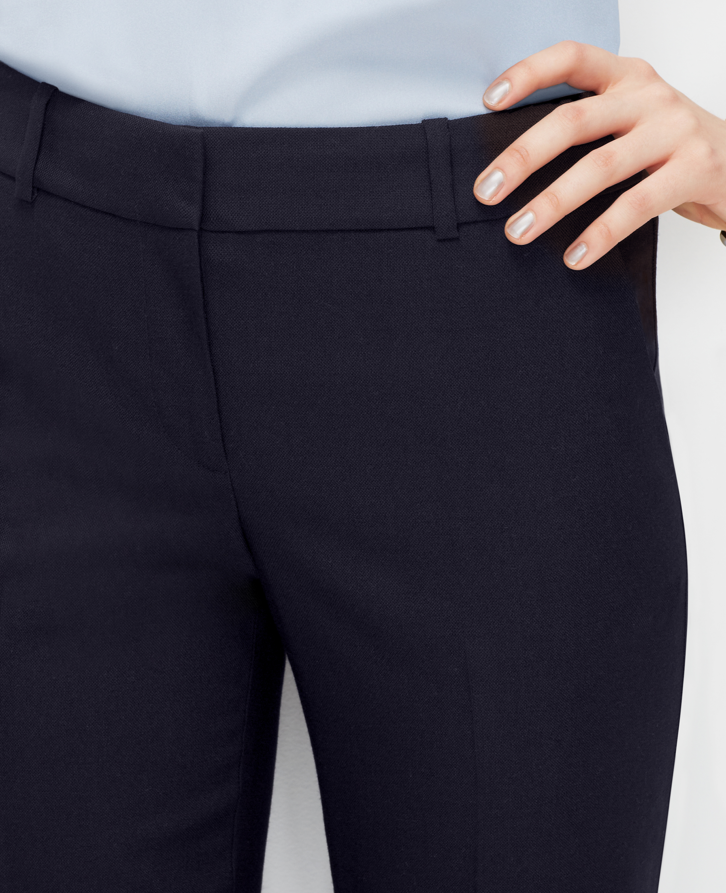 ann taylor pants