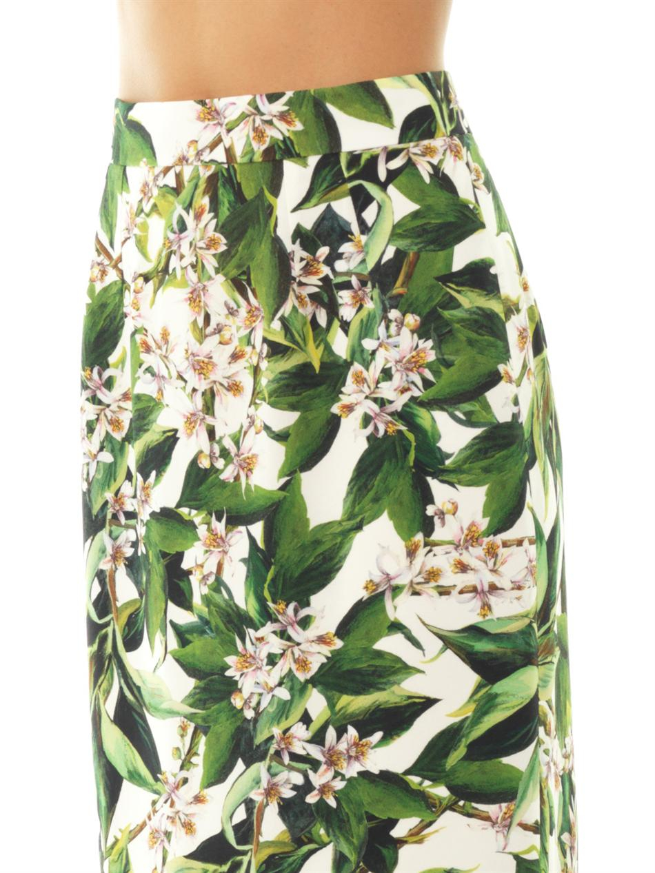 Lyst - Dolce & Gabbana Lemon Blossom Print Pencil Skirt in Green