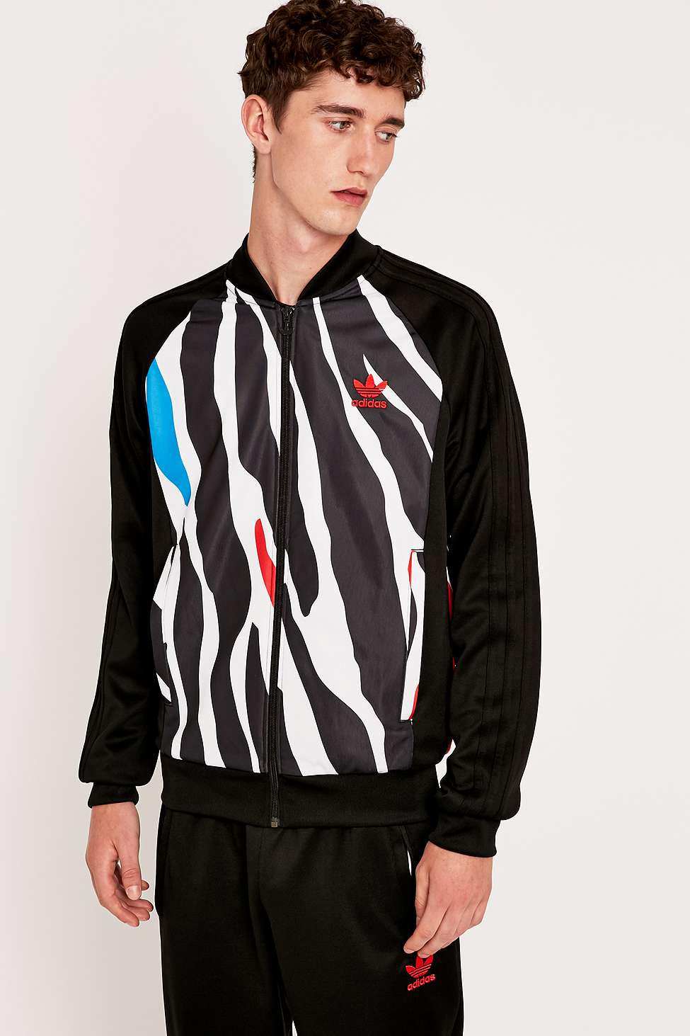 adidas zebra jacket