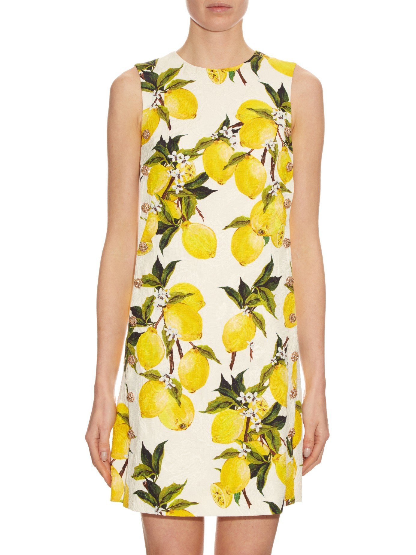 Dolce & Gabbana Lemon-print Floral-brocade Embellished Dress in Yellow ...