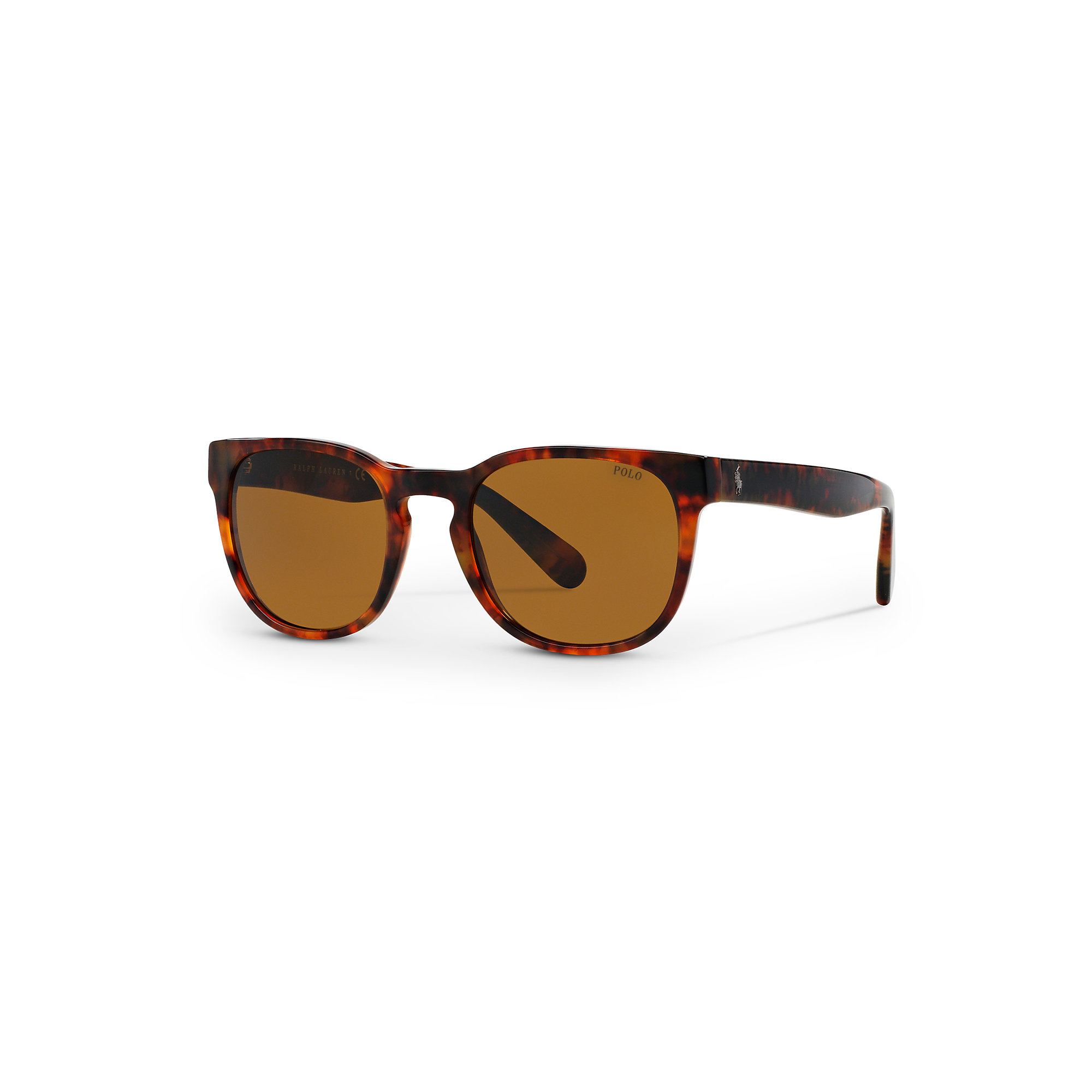 Polo Ralph Lauren Phantos Sunglasses in Brown Lyst