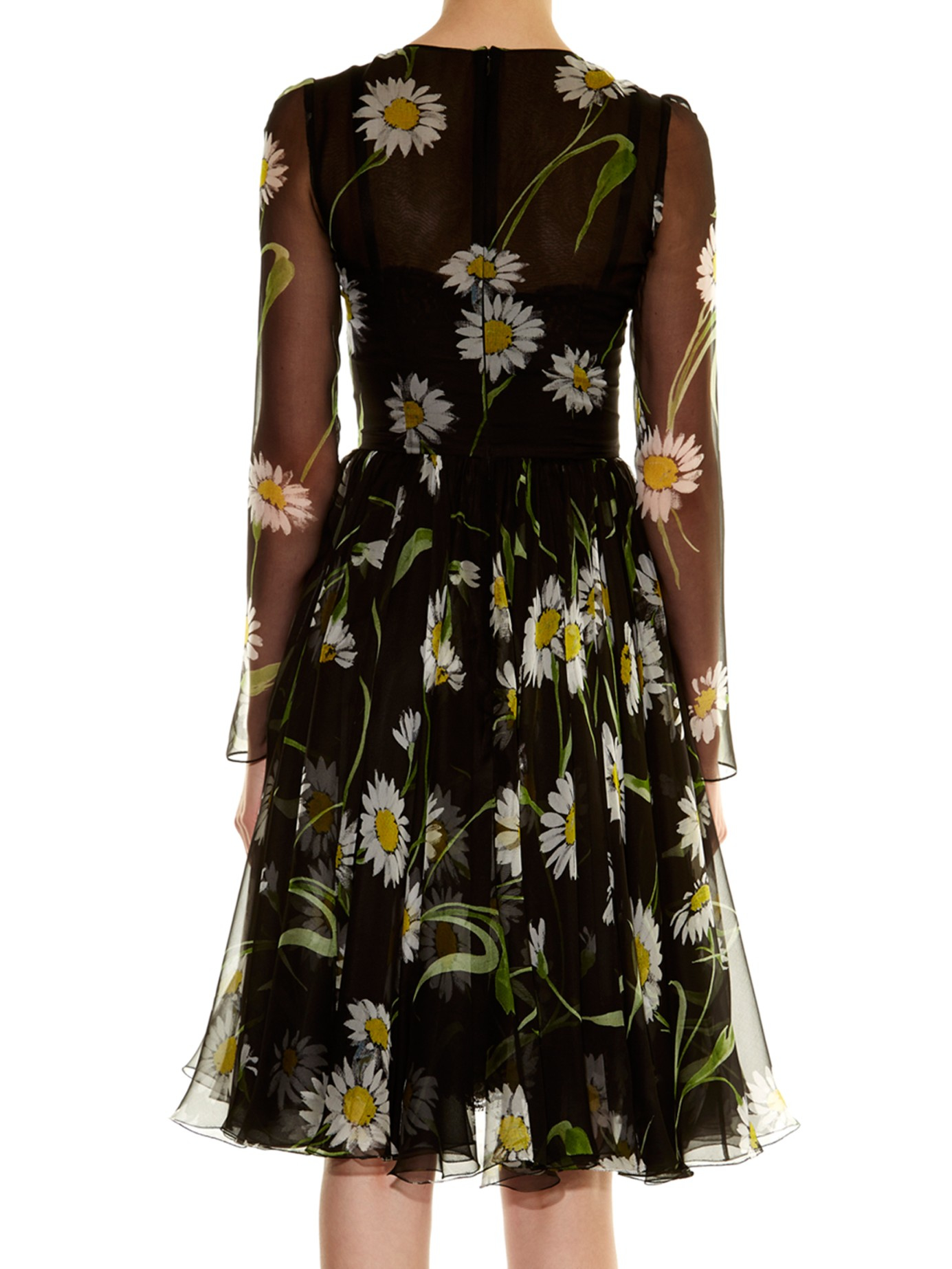 Dolce & Gabbana DaisyPrint Chiffon Dress Lyst
