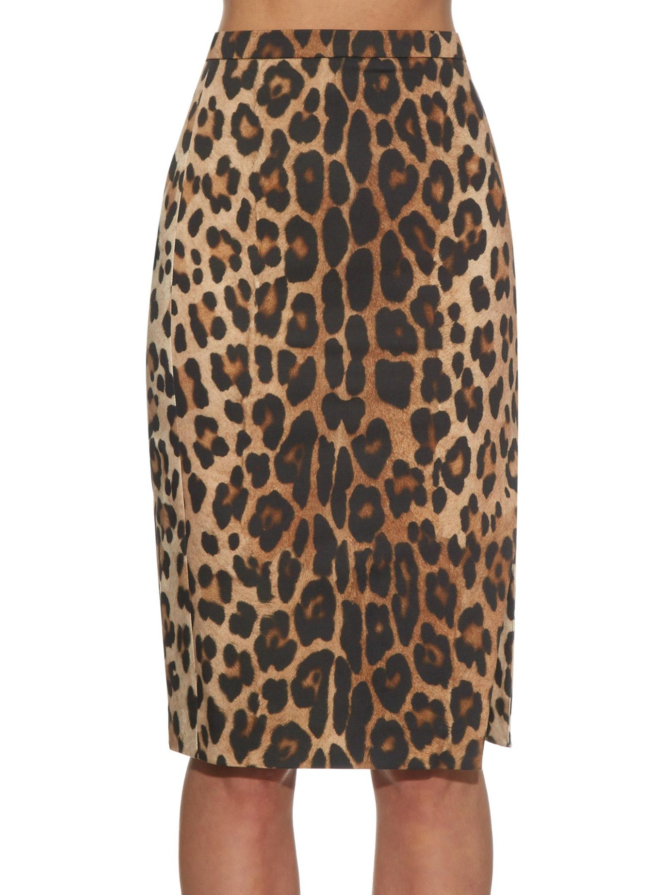 Altuzarra Leopard Print Pencil Skirt | Lyst