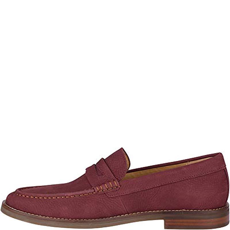sperry exeter