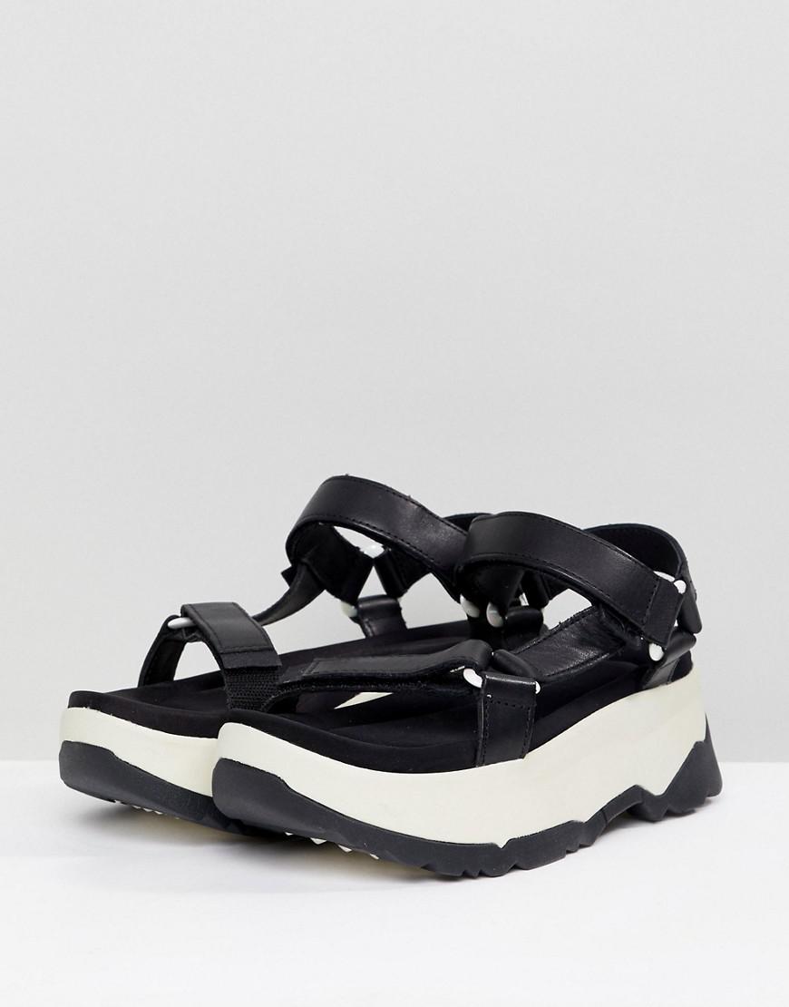 teva zamora