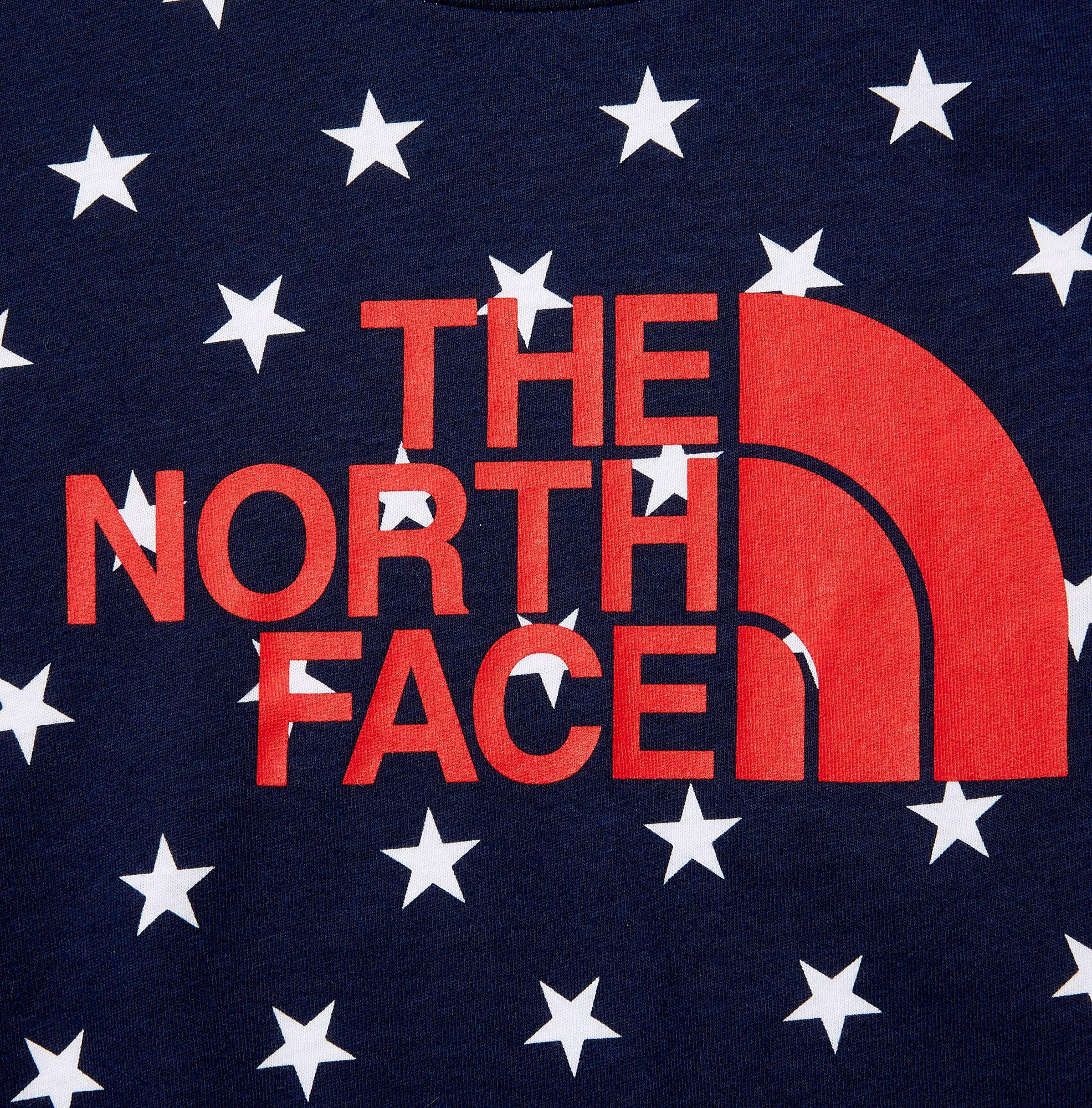 the north face america