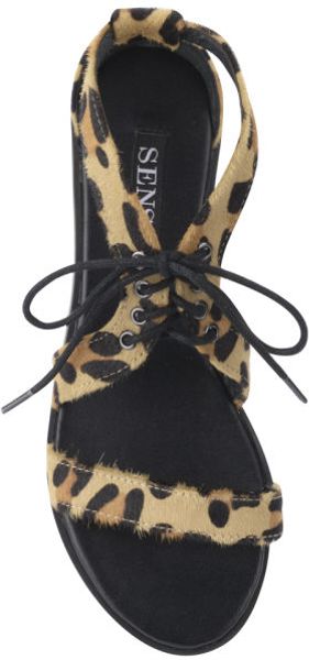 Senso Womens Fifi Ii Lace Pony Hair Sandals in Brown (Leopard) | Lyst