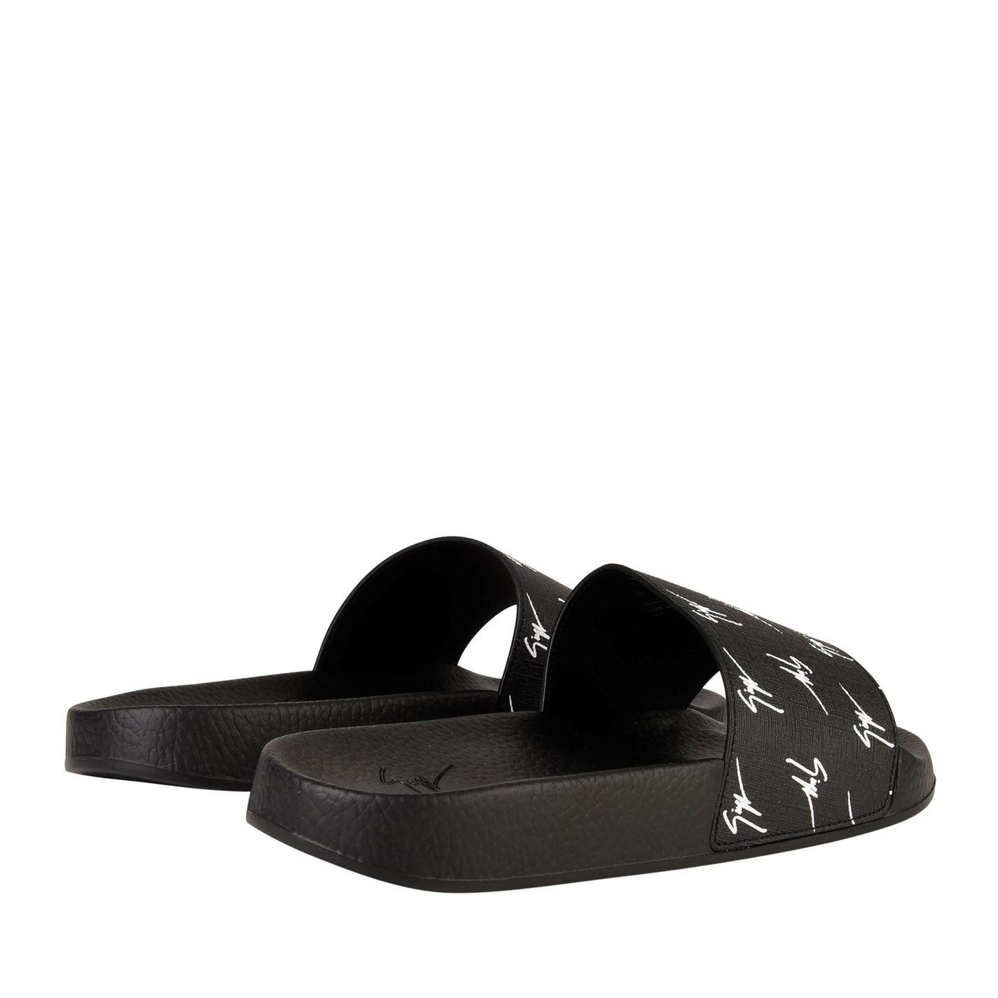 zanotti slides