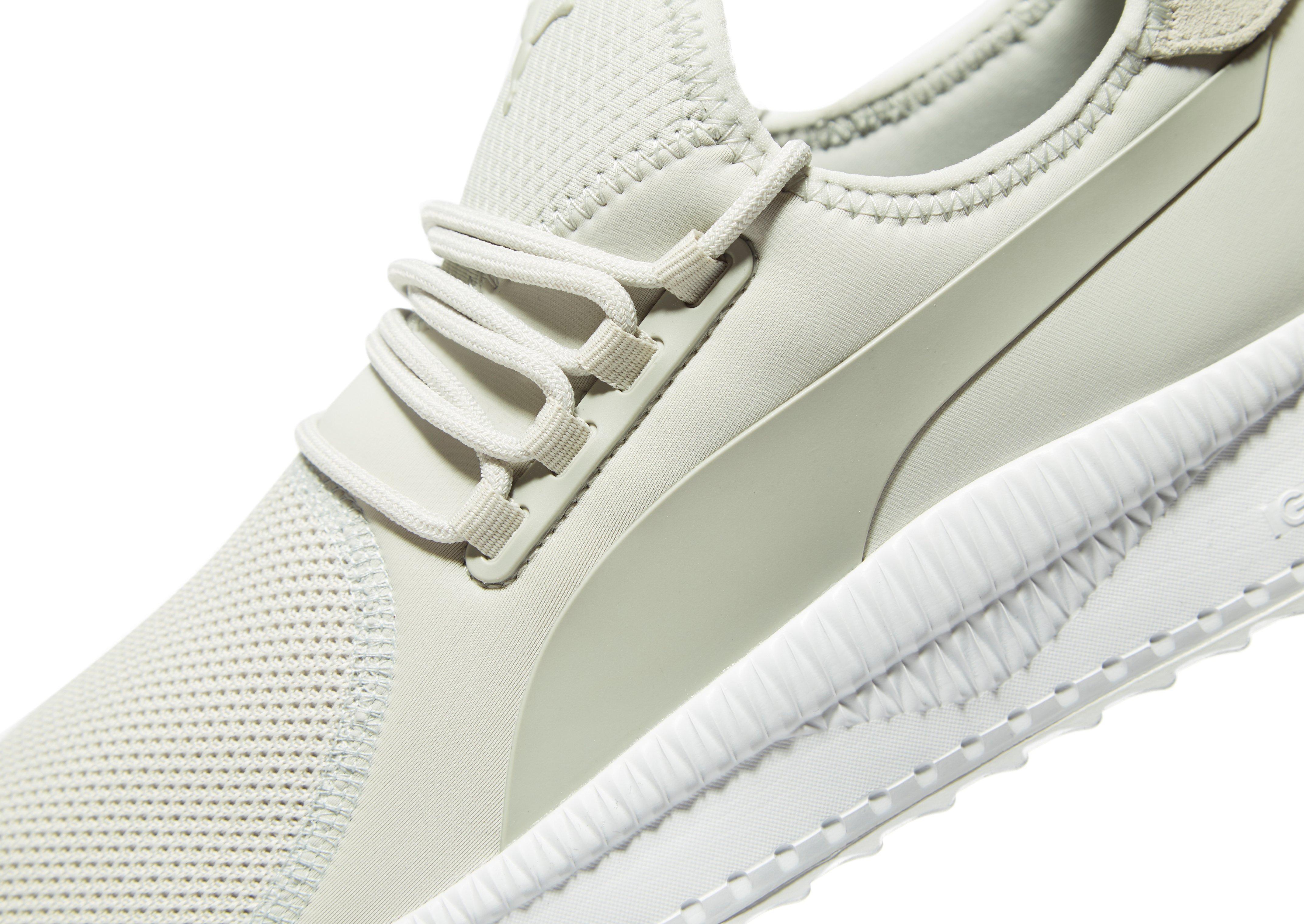 puma tsugi apex patent