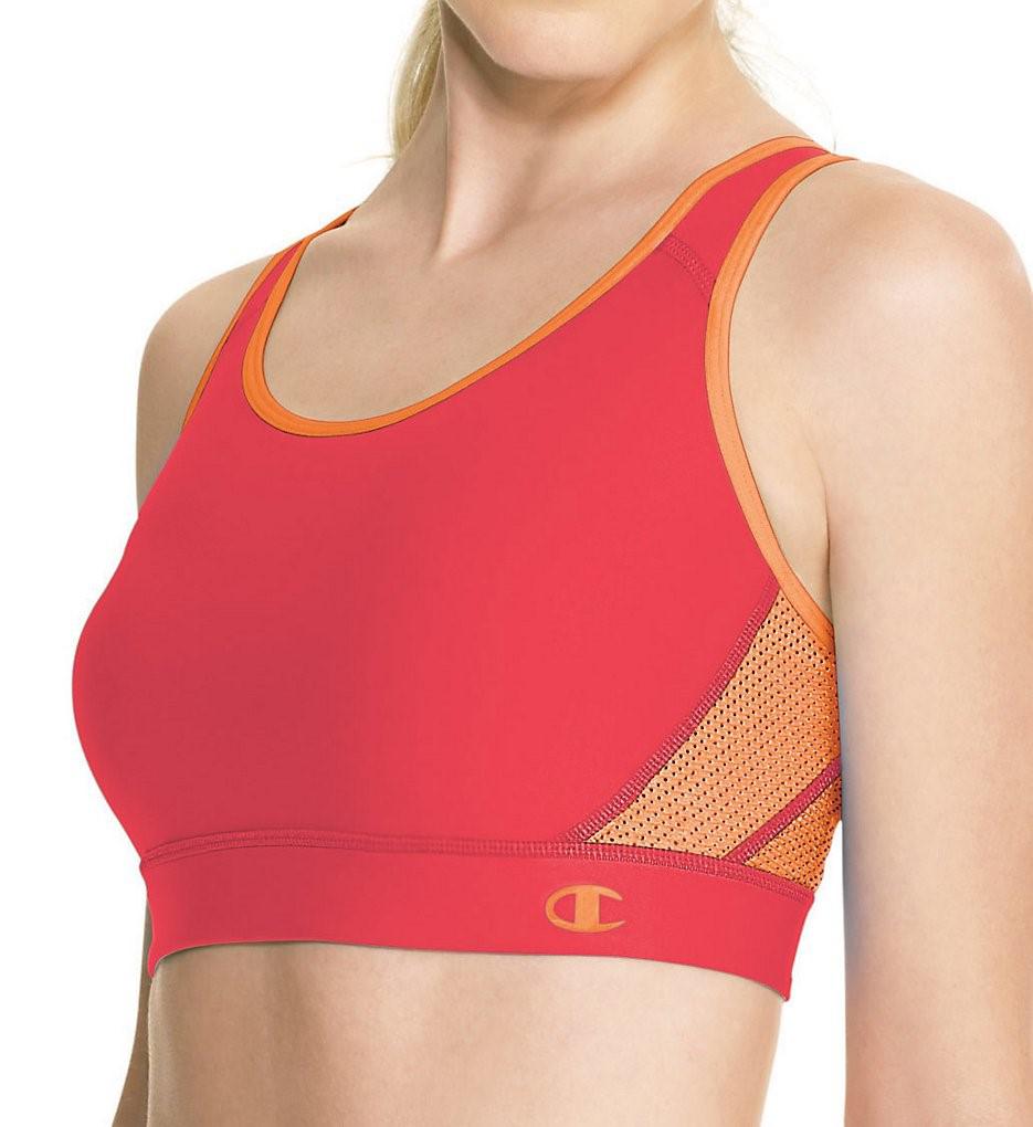 champion great divide sports bra