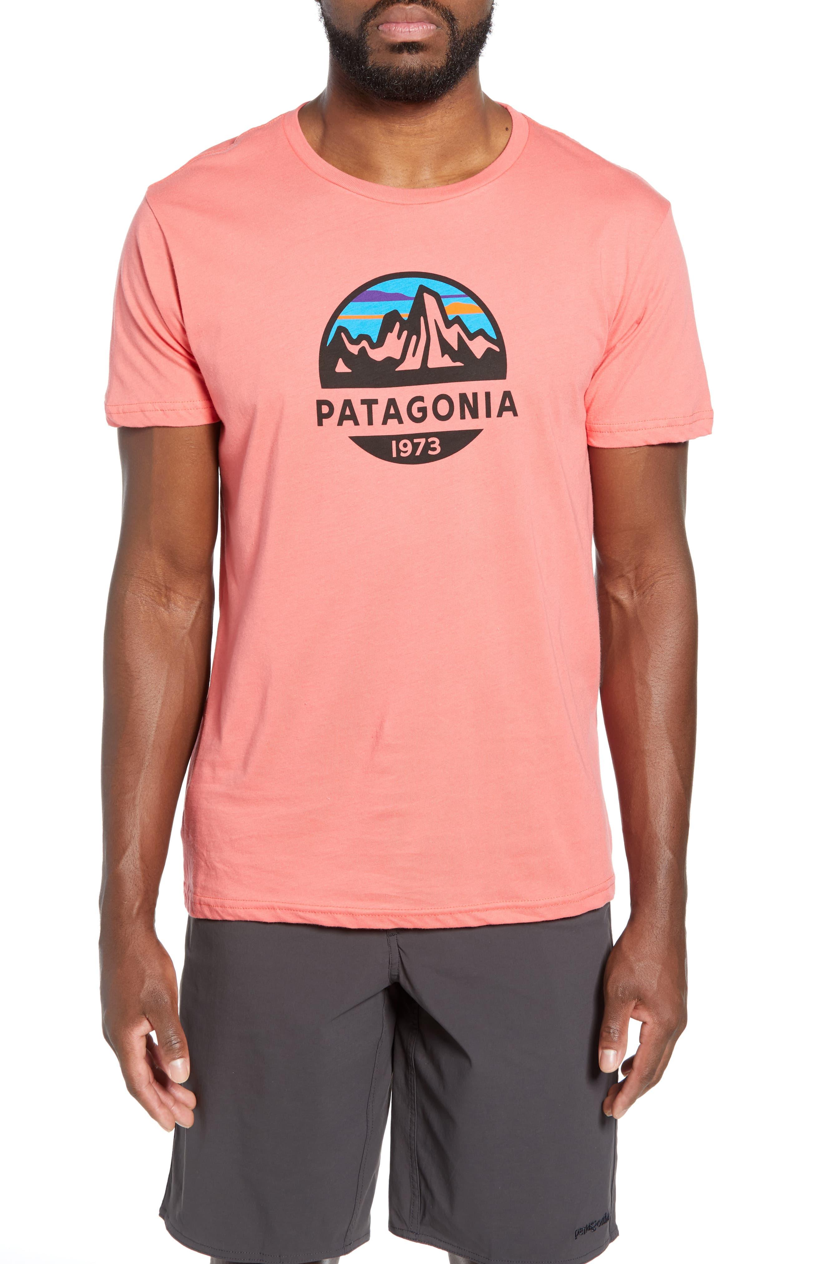 Patagonia Fitz Roy Scope Crewneck T-shirt in Pink for Men - Lyst