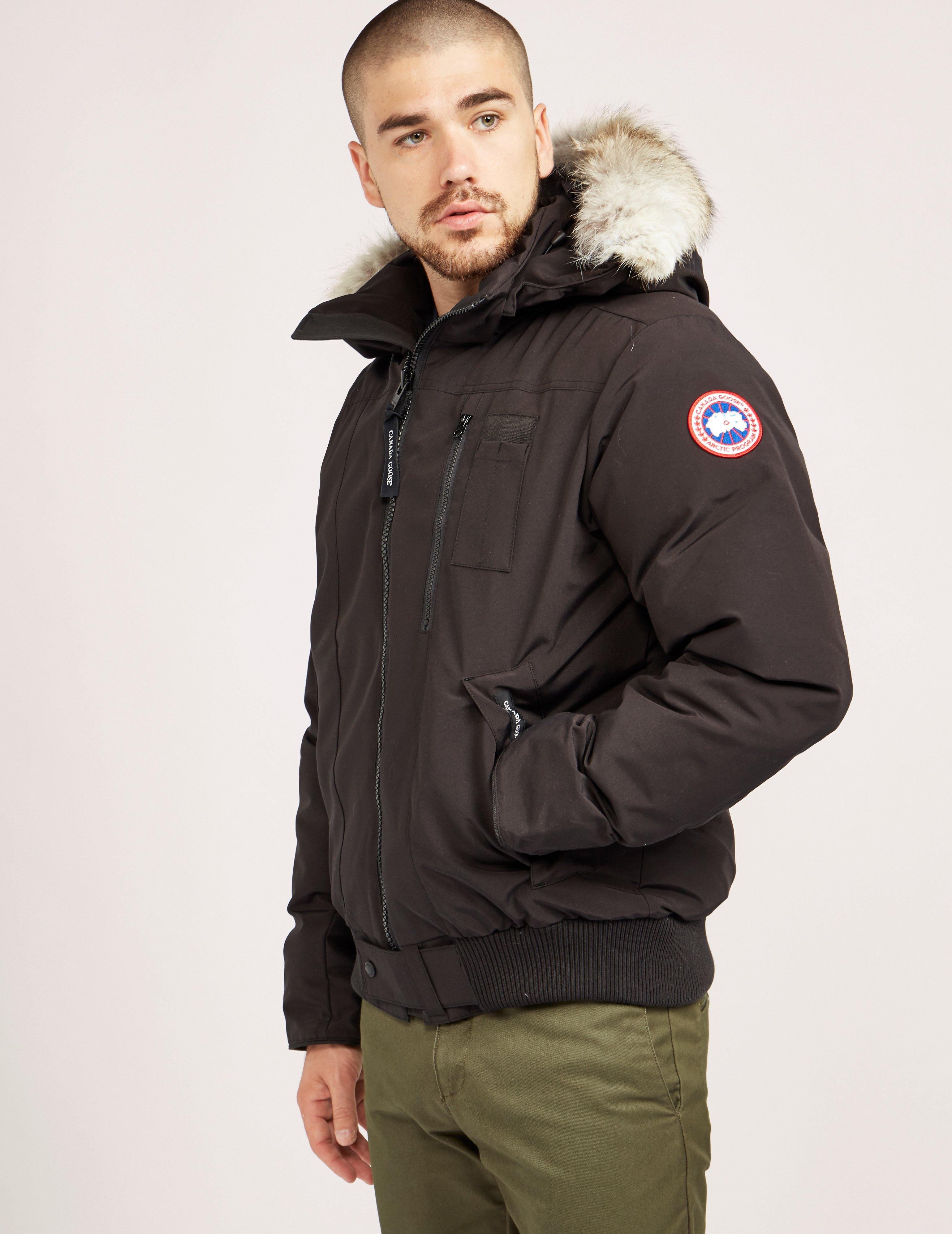 canada goose borden padded bomber jacket canada goose borden padded bomber jacket
