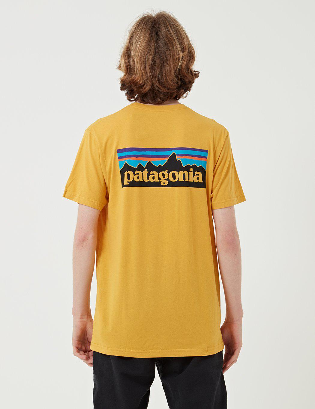 patagonia p6 t shirt sale